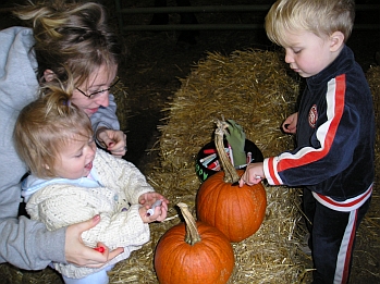 HALLOWEEN at THE FARM