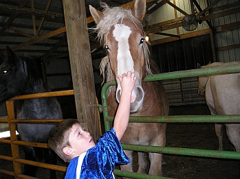 HALLOWEEN at THE FARM