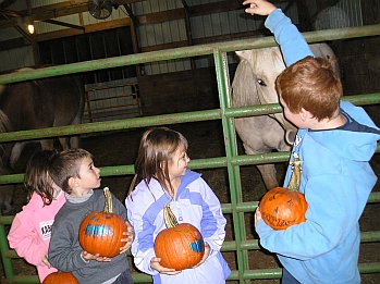 HALLOWEEN at THE FARM