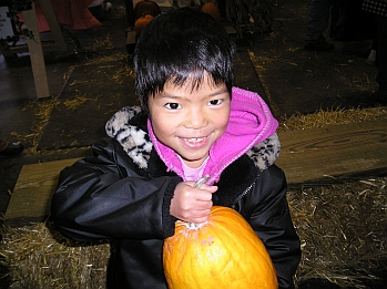 HALLOWEEN at THE FARM