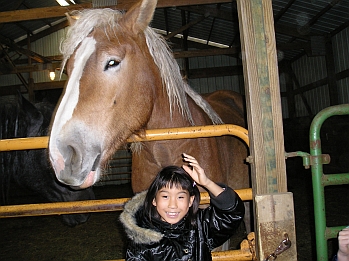 HALLOWEEN at THE FARM