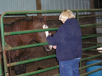 HALLOWEEN at THE FARM