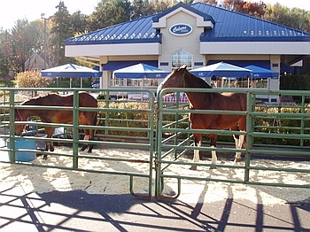 Halloween with THE FARM at Culver's