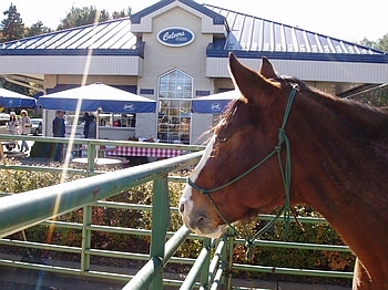 Halloween with THE FARM at Culver's