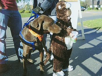 Halloween with THE FARM at Culver's