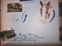 Jerry, the Roan Horse
