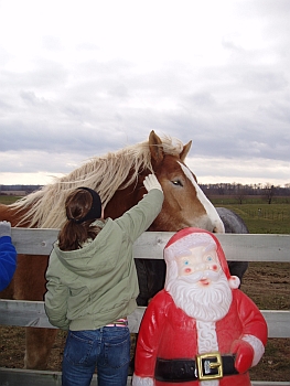 Mr. & Mrs. Claus 2007