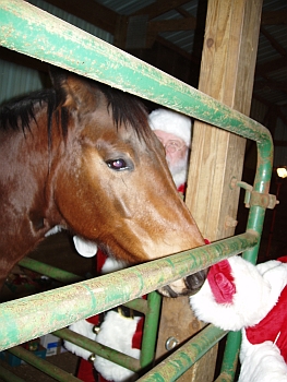 Mr. & Mrs. Claus 2007