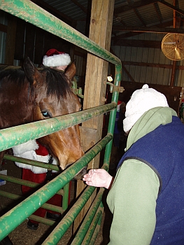 Mr. & Mrs. Claus 2007