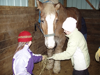 New Year's at THE FARM