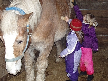 New Year's at THE FARM