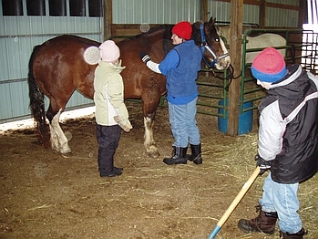 New Year's at THE FARM