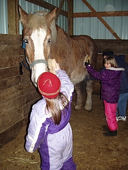 New Year's at THE FARM