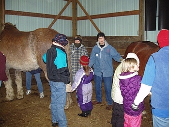 New Year's at THE FARM