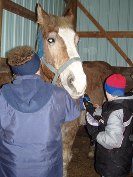 New Year's at THE FARM