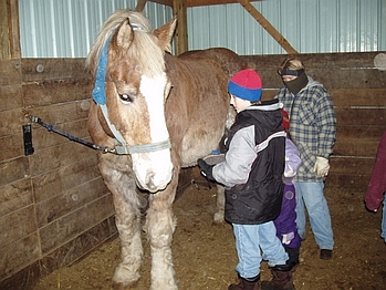 New Year's at THE FARM