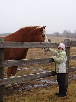 New Year's at THE FARM