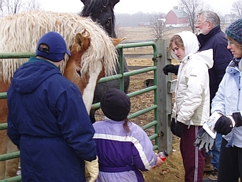 New Year's at THE FARM