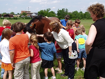 Oaklawn Elementary School