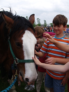 Oaklawn Elementary School