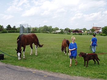 Oaklawn Elementary School