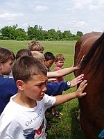 Oaklawn Elementary School