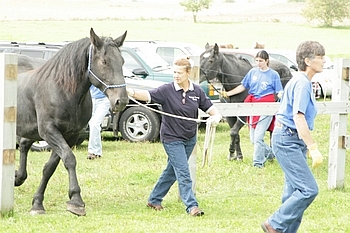 Open Barn 2006