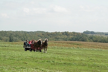 Open Barn 2006