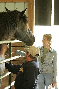 Open Barn 2006