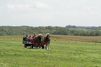 Open Barn 2006