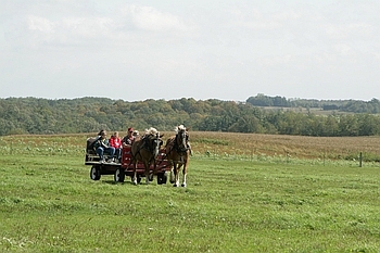 Open Barn 2006