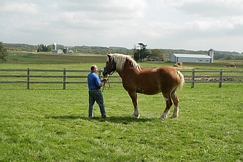 Open Barn 2006