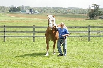 Open Barn 2006