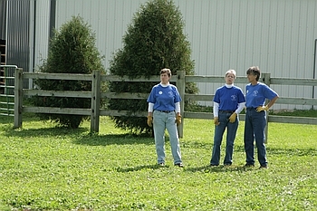 Open Barn 2006