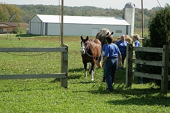 Open Barn 2006