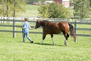 Open Barn 2006