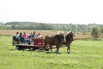 Open Barn 2006