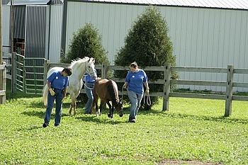 Open Barn 2006