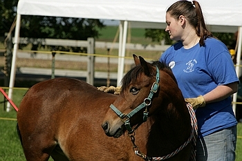 Open Barn 2006