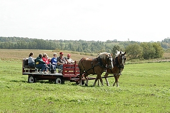 Open Barn 2006