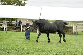 Open Barn 2006