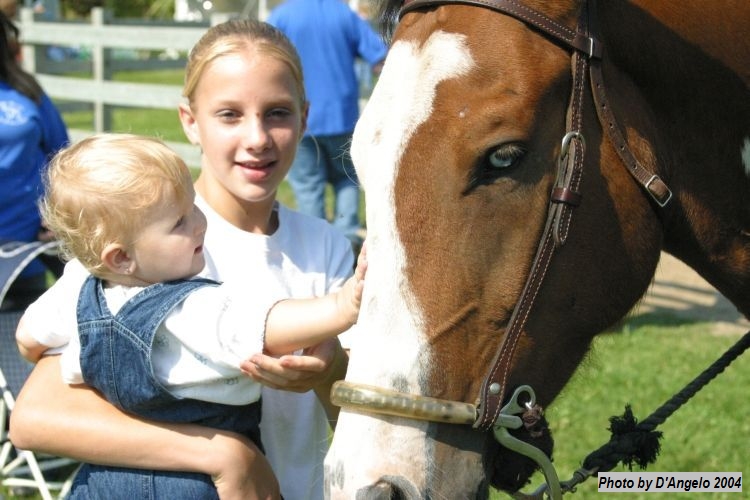 Open Barn 2004