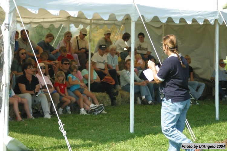 Open Barn 2004