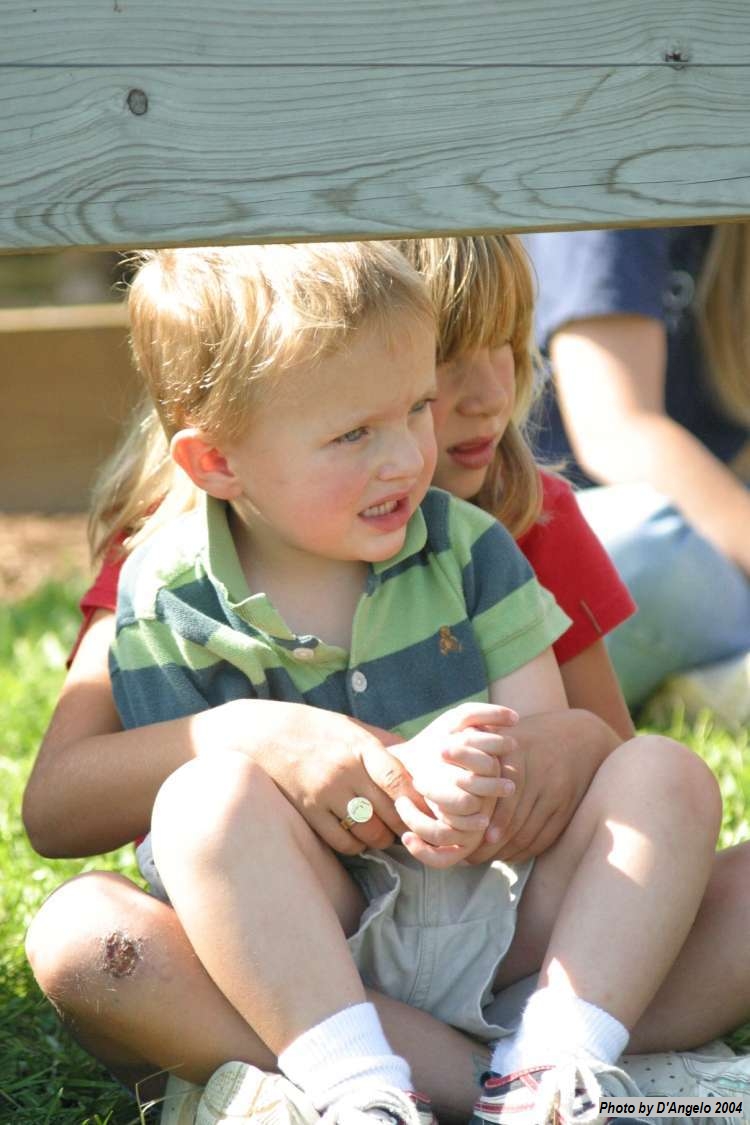 Open Barn 2004