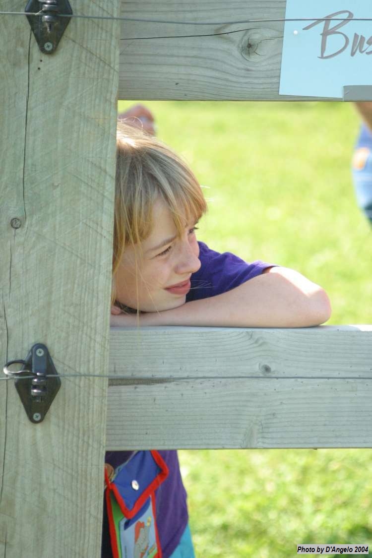 Open Barn 2004