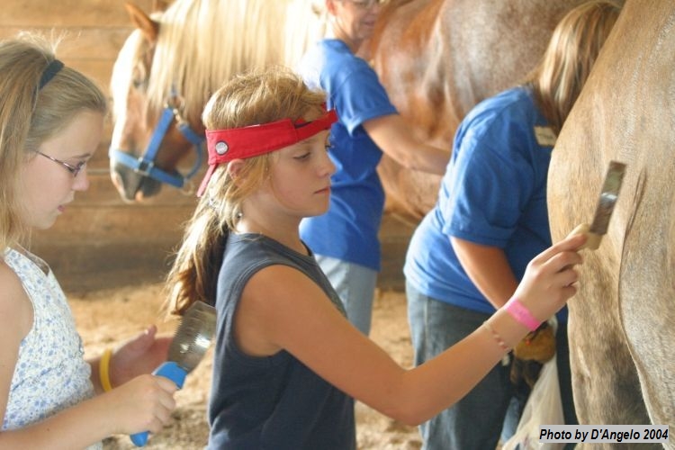 Open Barn 2004