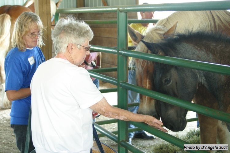 Open Barn 2004