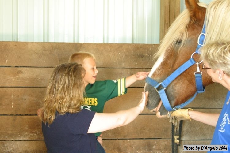 Open Barn 2004