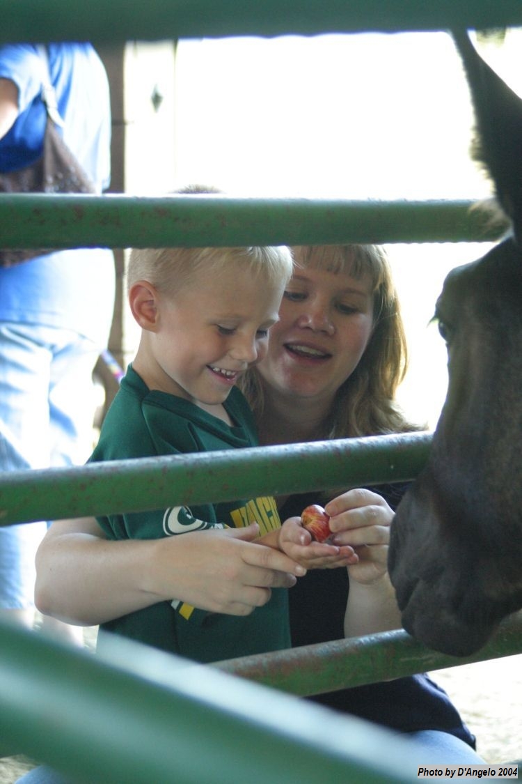 Open Barn 2004