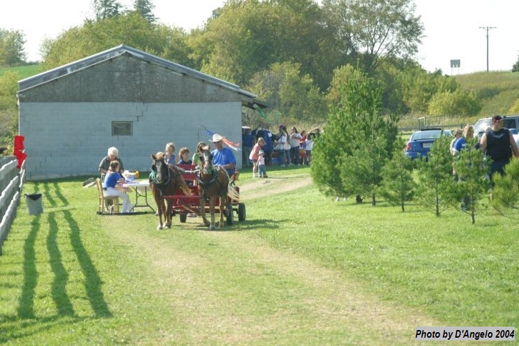 Open Barn 2004